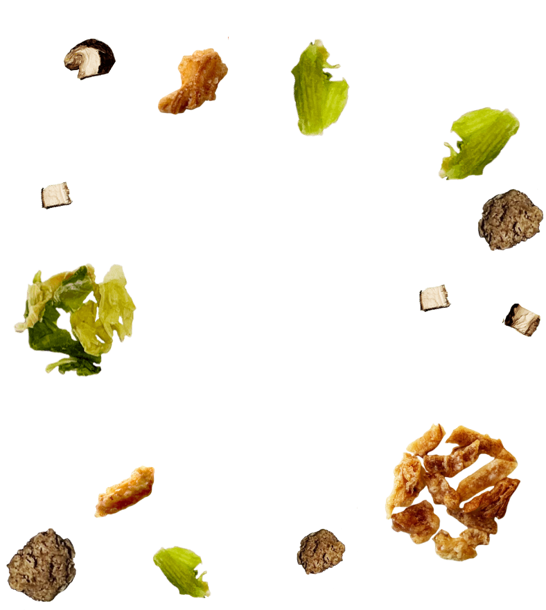 Fried Shallot Beef Mix