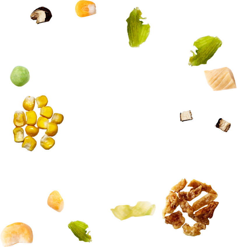 No Fungus Among Us Mix