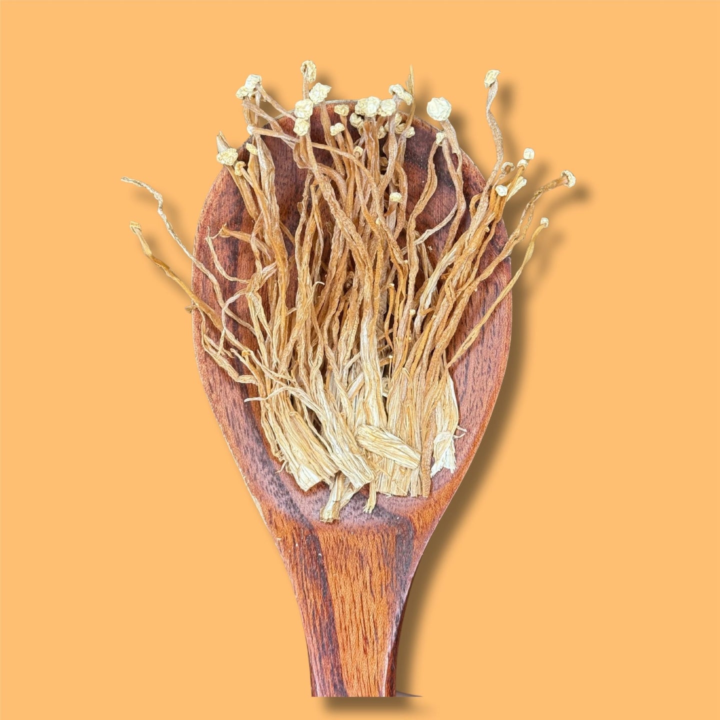 Enoki Mushroom - 3 OZ
